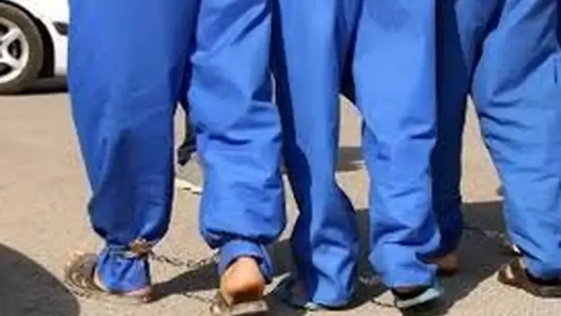 انکار متهمان در قتل مرموز پسر معتاد زیر سایه «درخت آرامش»؛ راز کمپ ترک اعتیاد لو می‌رود؟