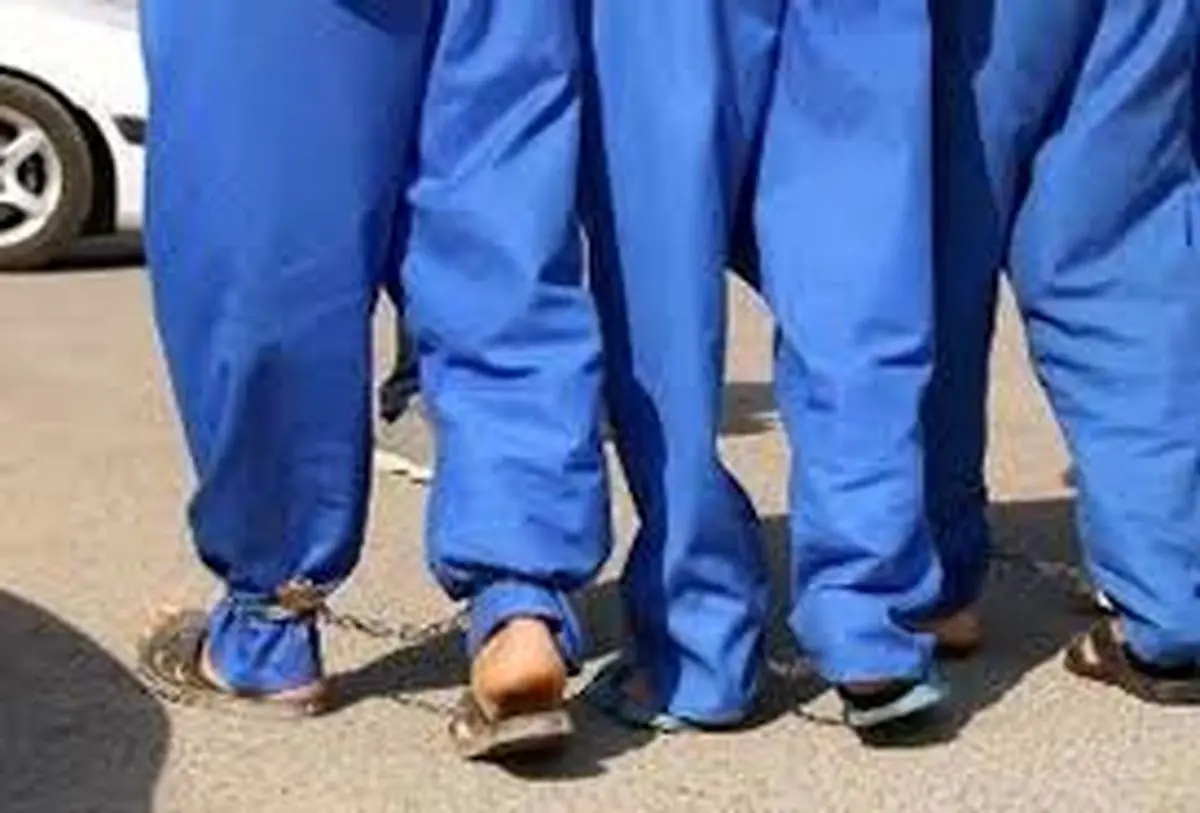 انکار متهمان در قتل مرموز پسر معتاد زیر سایه «درخت آرامش»؛ راز کمپ ترک اعتیاد لو می‌رود؟