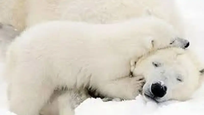 تصویری خاص و دیدنی از عشق بی‌پایان یک مادر در ویدئویی زیبا