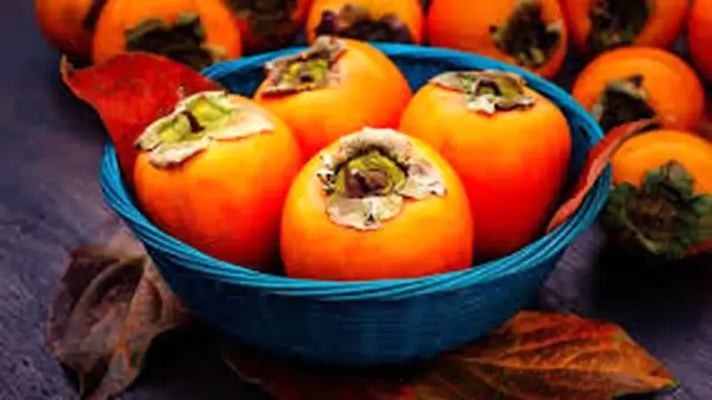 ماجرای وحشتناک «خرمالو» در اتاق های عمل/تا اطلاع ثانوی و تا تکمیل تحقیقات پزشکی از مصرف خرمالو با پوست خودداری کنید/ ویدئو