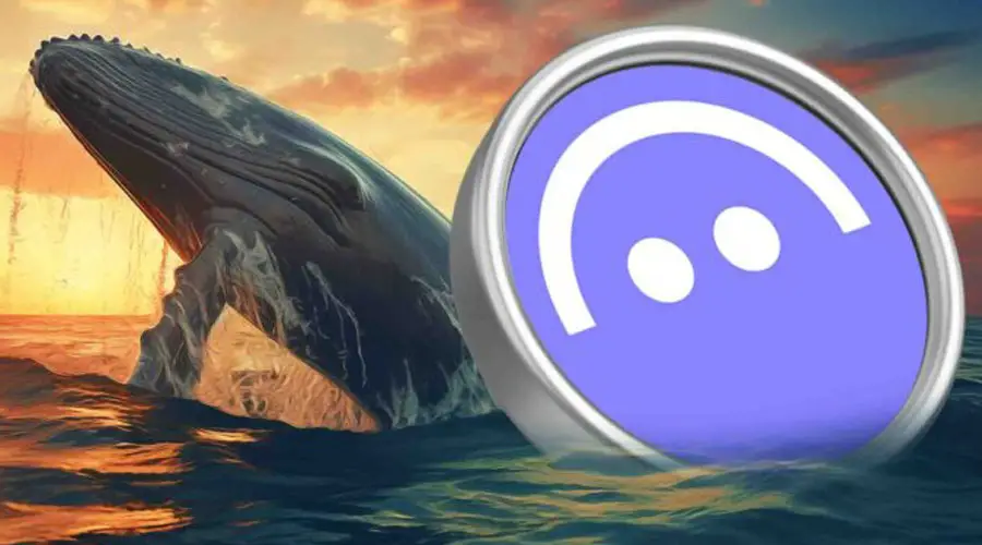 نهنگ‌های بزرگ در بحران آوه، ۳ میلیون دلار AAVE شکار کردند!