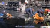 نجات معجزه‌آسای سگ گرفتار در قیر داغ پس از واژگونی کامیون در کیتو!