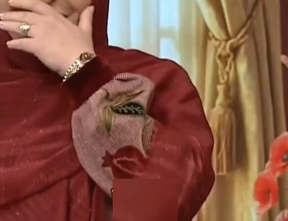 خنده‌های المیرا شریفی مقدم روی تلخی تنهایی کفتربازها در شب یلدا؛ دکتر سعید عزیزی چه رازهایی فاش کرد؟