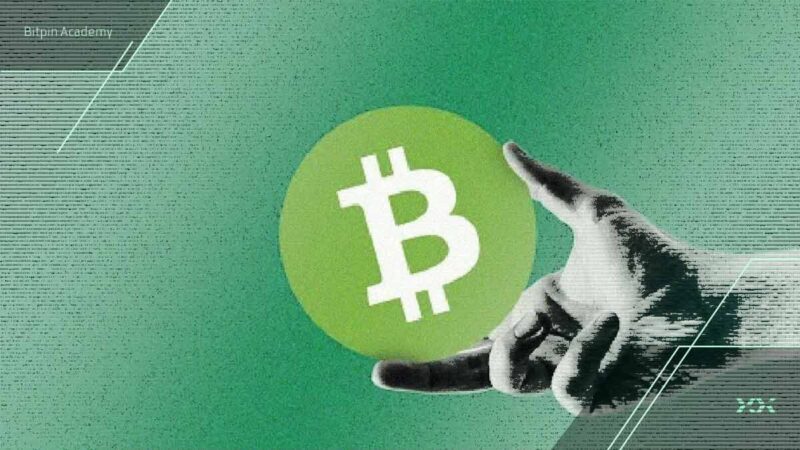 چرا بیت کوین کش با رشد ۴۰ درصدی، بهترین لایه اول بازار رمزارزها در ۲۰۲۵ شد؟