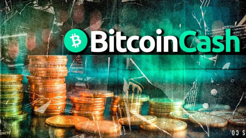 بیت‌کوین کش با رشد حیرت‌انگیز ۴۰٪، صدرنشین رمزارزهای لایه اول ۲۰۲۵ شد!