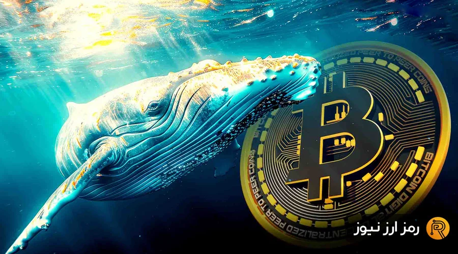 راز عجیب نهنگ‌های قدیمی بیت‌کوین؛ چرا قیمت صعود نمی‌کند؟