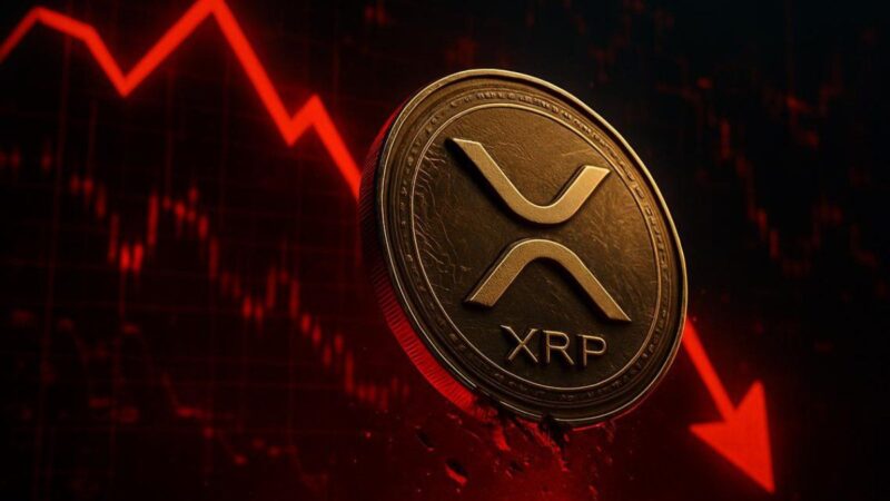 ریپل در گرداب سقوط؛ قیمت ۵٪ پایین‌تر رفت و حمایت کلیدی شکست!