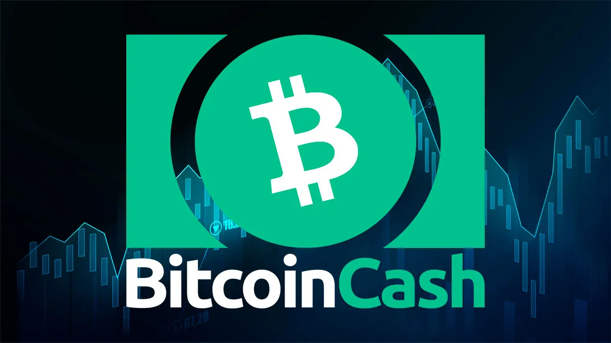 بیت‌ کوین‌ کش با جهش ۴۰ درصدی بهترین دارایی لایه‌یک سال شد - وب‌گردی