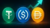 رکوردشکنی بازار استیبل کوین‌ها؛ ارزش کل به ۳۱۰ میلیارد دلار رسید!
