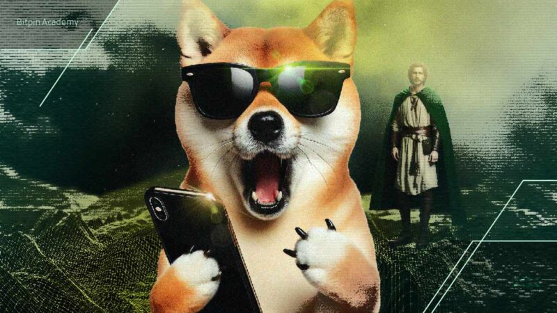 نهنگ‌های دوج کوین در حال انباشت بی‌سابقه؛ آیا جهش قیمت در راه است؟