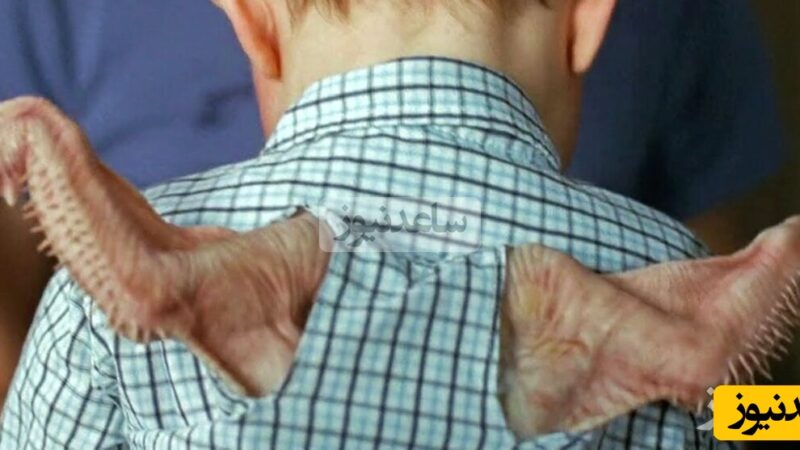 ویدئوی نوزادی با دو بال واقعی که مادر را شگفت‌زده کرد؛ آیا حقیقت دارد؟