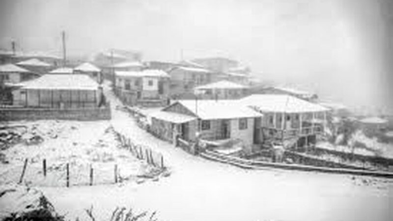 تماشا کنید؛ چالوس در نخستین برف پاییزی سفیدپوش شد و گوسفندان در دل طبیعت آرام گرفتند