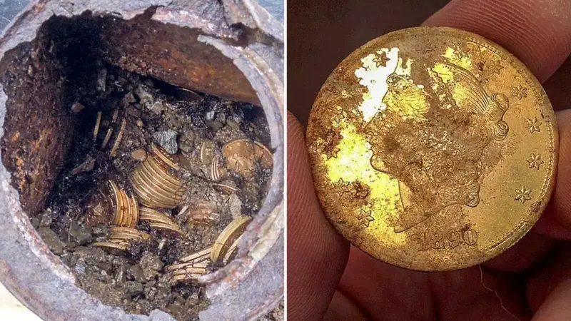 زوج خوش‌شانس در پیاده‌روی عادی گنجی ۱۴۰۰ سکه طلا کشف کردند!