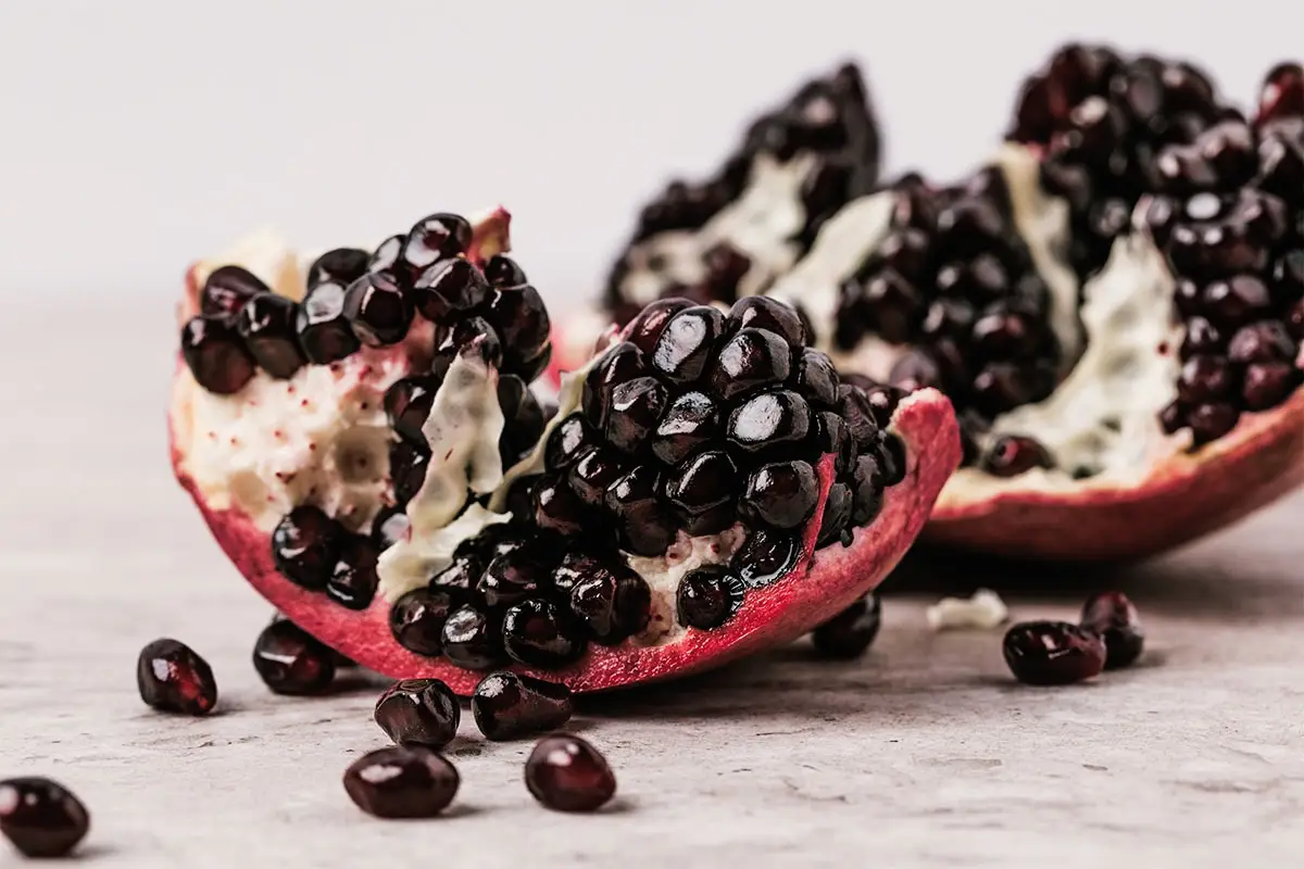 رکوردشکنی خرید نهال انار خاص در شیراز؛ فرصت طلایی برای باغداران ثروتمند شدن!