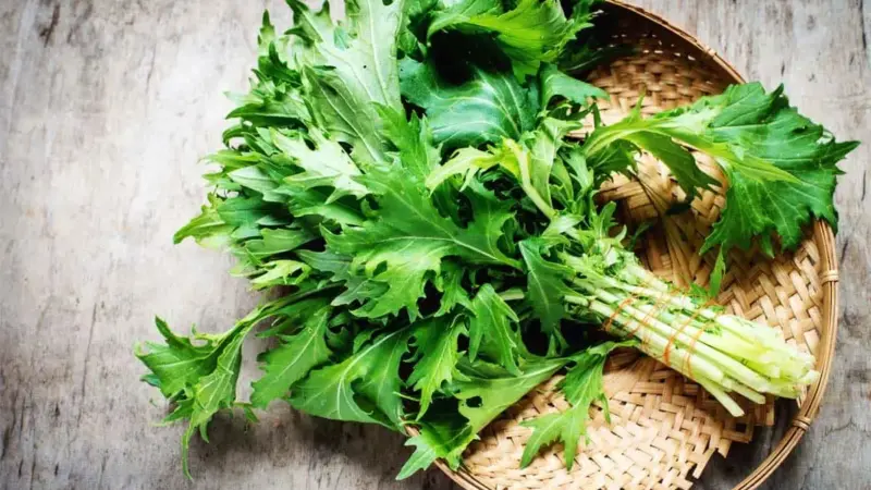فواید دارویی و درمانی خردل ژاپنی برای بدن