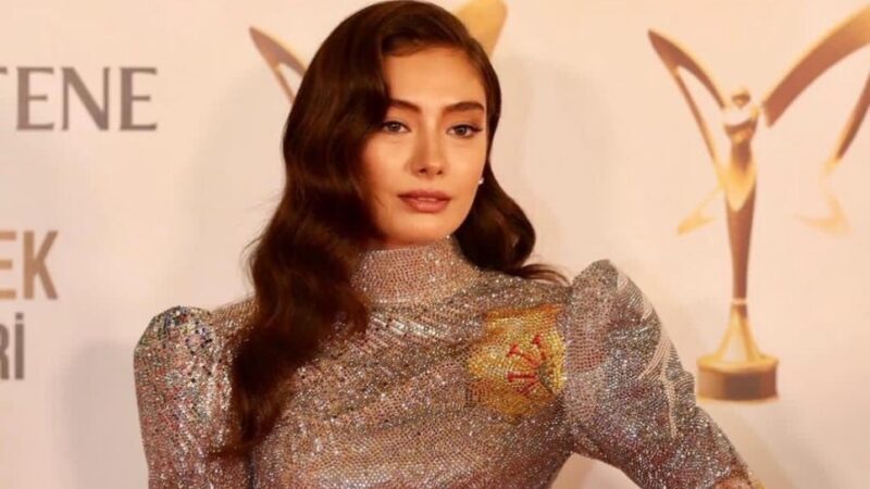 تصویری زیبا از نسلیهان آتاگول در غروب قرمز ساحل😍