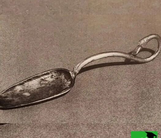 شاهکار هخامنشی دست‌ساز؛ قاشقی اسرارآمیز با نقوش اساطیری که تاریخ را روایت می‌کند!