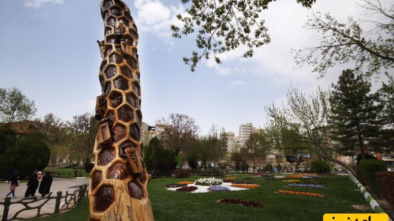 (عکس) تندیس زندگی بر تنهٔ مرده؛ خلاقیت دیدنی دانشجویان هنر شیراز در احیای یک درخت