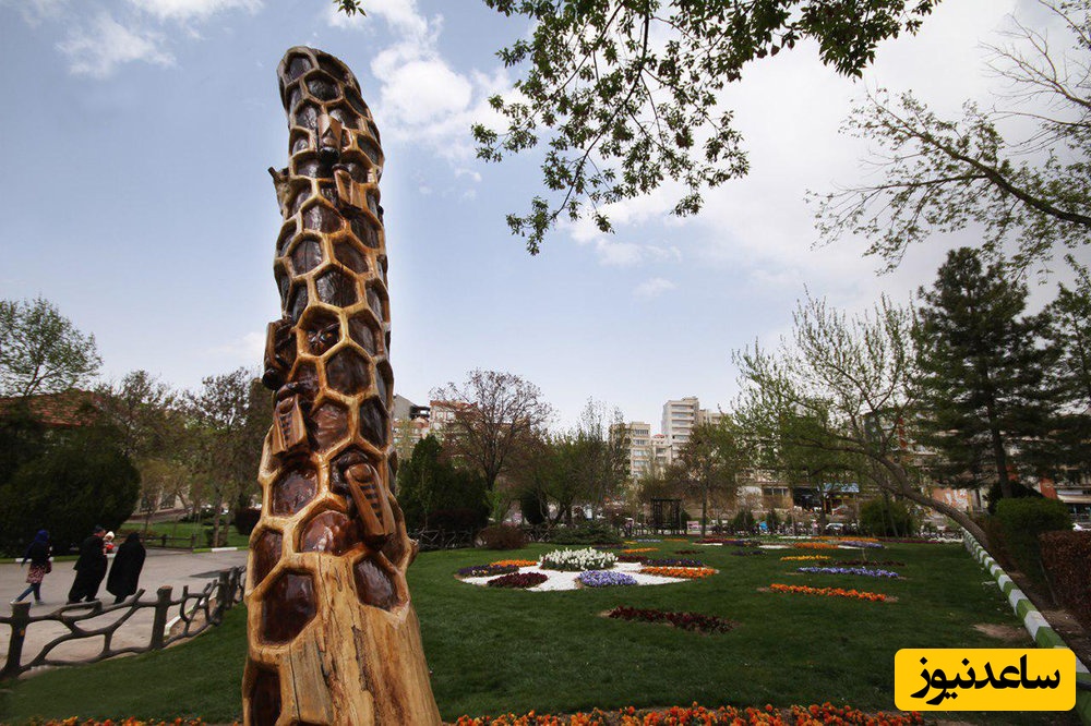 (عکس) تندیس زندگی بر تنهٔ مرده؛ خلاقیت دیدنی دانشجویان هنر شیراز در احیای یک درخت