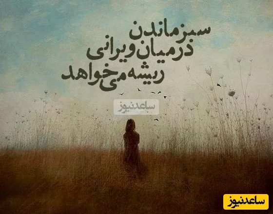 کائنات پیام ویژه ای برات داره؛ گاهی زندگی دوباره از همون جایی شروع می‌شه که فکر می‌کردی پایانته. فقط یک لحظه بیشتر دوام بیار/ پیام انگیزشی امروز چهارشنبه 19 آذر 1404