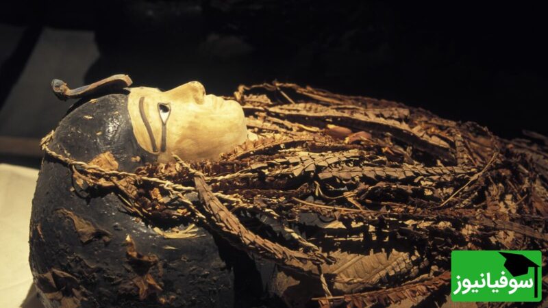 چهره واقعی فرعون آمنهوتپ اول برای نخستین بار لو رفت؛ تصویری که تاریخ را زنده کرد!