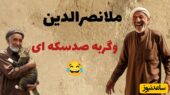 ماجرای بامزه ملانصرالدین و گربه‌ای که صد سکه داشت؛ راز هوش مُلا فاش شد!