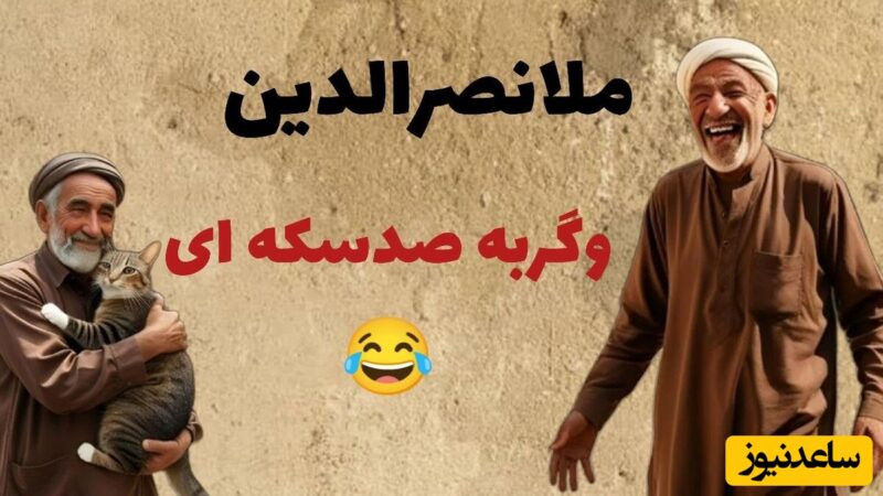 ماجرای بامزه ملانصرالدین و گربه‌ای که صد سکه داشت؛ راز هوش مُلا فاش شد!