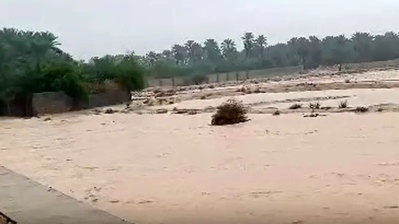 لغو ناگهانی آزمون آیلتس در ایران از سال ۱۴۰۴؛ دلیل پشت پرده چیست؟