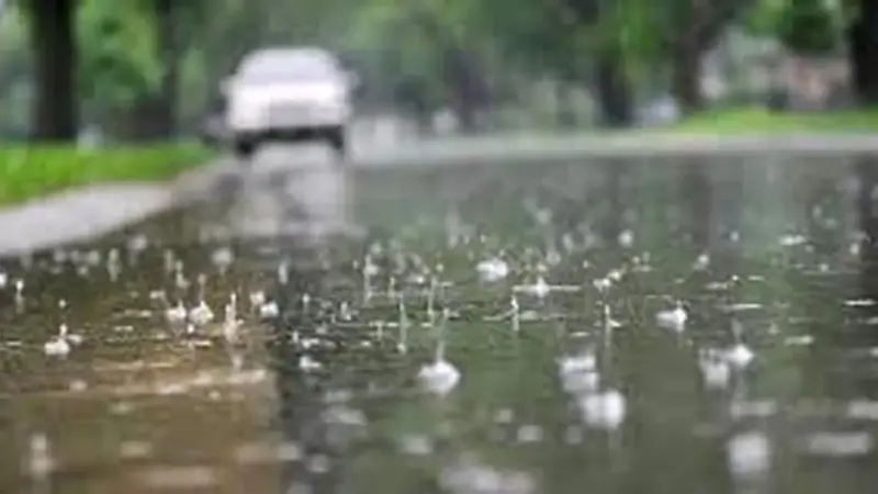 نخستین بارش پس از ماه‌ها در تهران؛ شهری که نفس کشید!