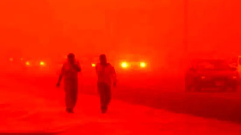 مراقب میوه‌های خشک در شب یلدا باشید؛ تهدید پنهان برای دیابتی‌ها!