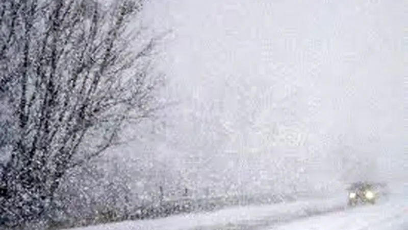 مردم شمال اروپا چگونه بر افسردگی زمستانی غلبه می کنند؟