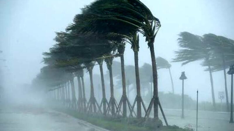 تصاویری از خسارت شدید طوفان در مدینه