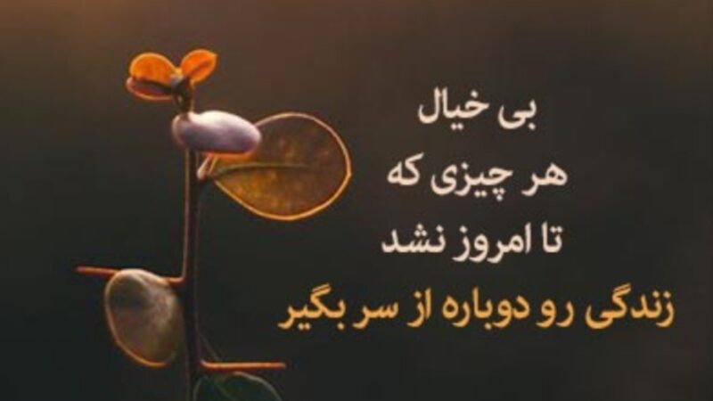 پیام امروز کائنات برای تو؛ آخر خط که میرسی میگی کاش قدر همون روزهارو میدونستم، کائنات گاهی راهت رو عوض می‌کنه تا نجاتت بده/ پیام انگیزشی امروز 8 دی 1404  + وید