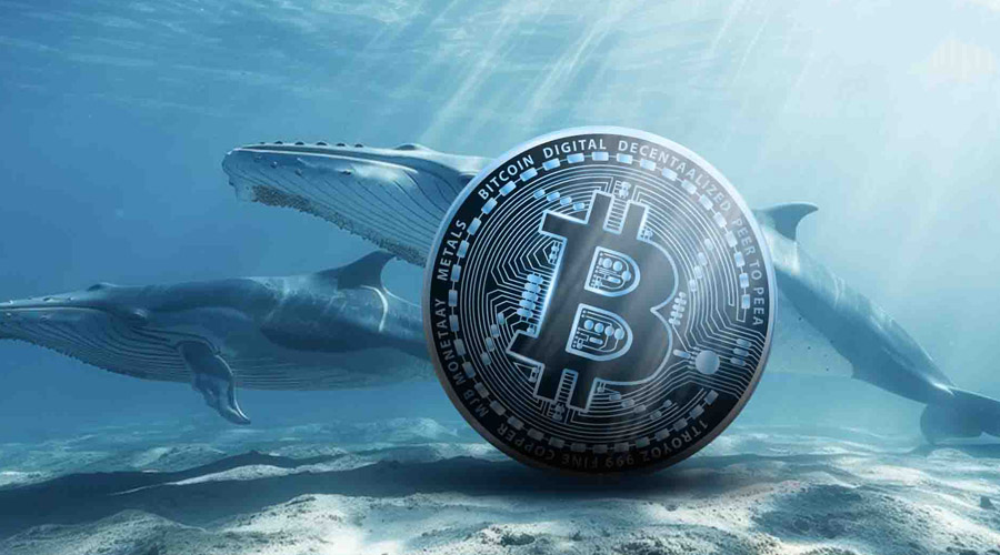 انباشت نهنگ‌ها در غیاب سرمایه‌گذاران خرد؛ شانس صعود بیت‌کوین چقدر است؟