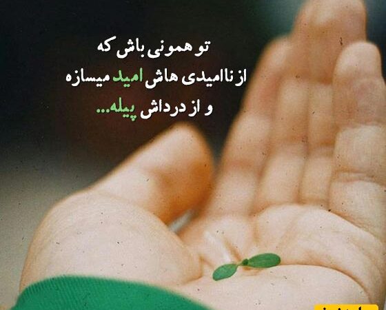 وقتی هیچ‌کس نمی‌فهمد؛ راز مقدس تنهایی که کائنات امروز به تو می‌گوید!