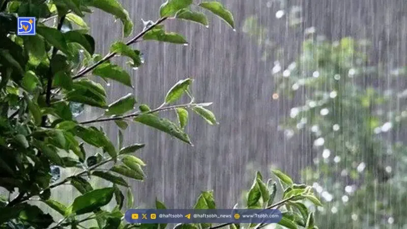 هشدار فوری هواشناسی: بارش‌های شدید و خطر سیل در دو منطقه مهم ایران در راه است!