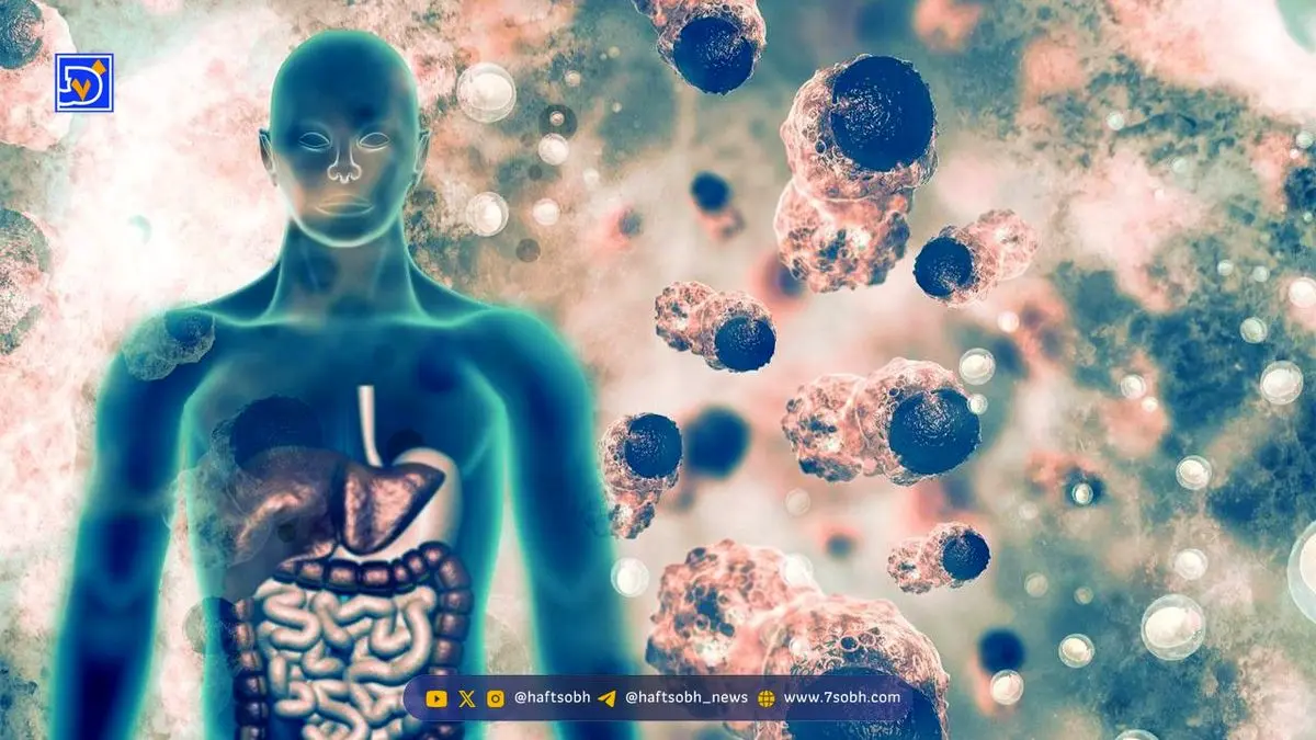 شگفتی تحقیقات: غذاهای فوق فرآوری شده چگونه به تمام اعضای بدن شما آسیب می‌زنند؟