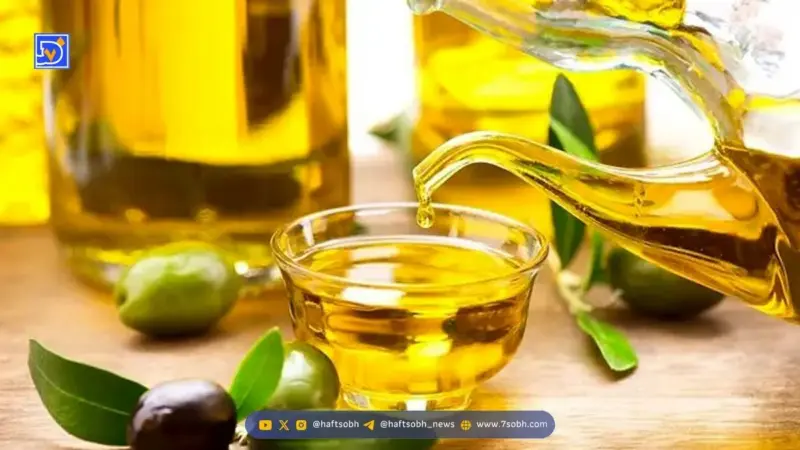 ۲ قاشق روغن زیتون در روز؛ معجزه‌ای که بدن شما را متحول می‌کند یا هشدار پنهان افزایش وزن؟