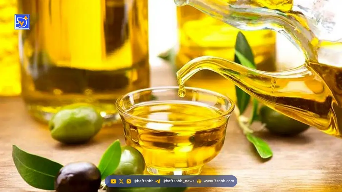 ۲ قاشق روغن زیتون در روز؛ معجزه‌ای که بدن شما را متحول می‌کند یا هشدار پنهان افزایش وزن؟