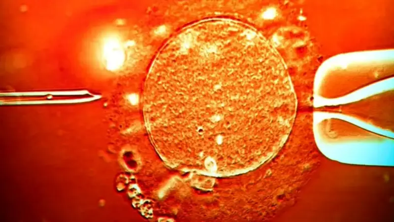 خطایی که 197 کودک را در خطر سرطان قرار داد/ عده‌ای از کودکان کشته شده‌اند