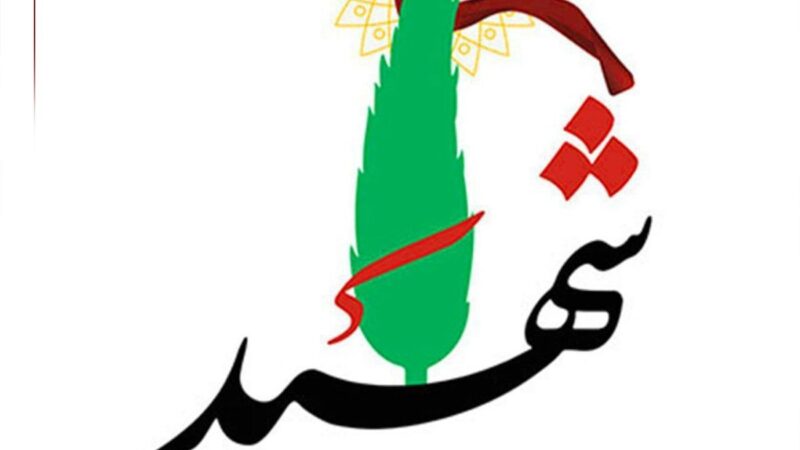 شهادت یک نیروی سپاه در لار
