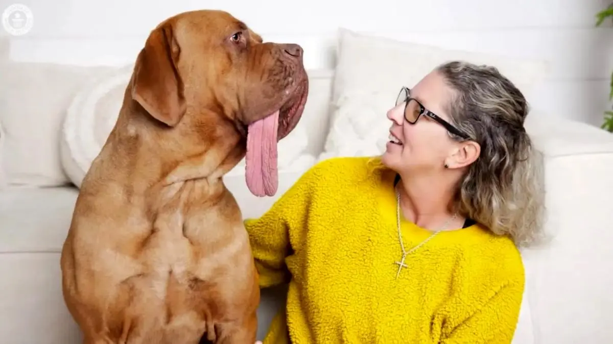 اوزی، سگ اوکلاهامایی با زبان شگفت‌انگیز ۲۰ سانتی‌متری رکورد جهان را شکست!