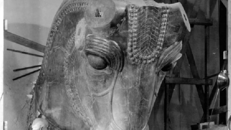 ماجرای مرمت گاو سنگی هخامنشی در موزه شیکاگو که همه را شگفت‌زده کرد!