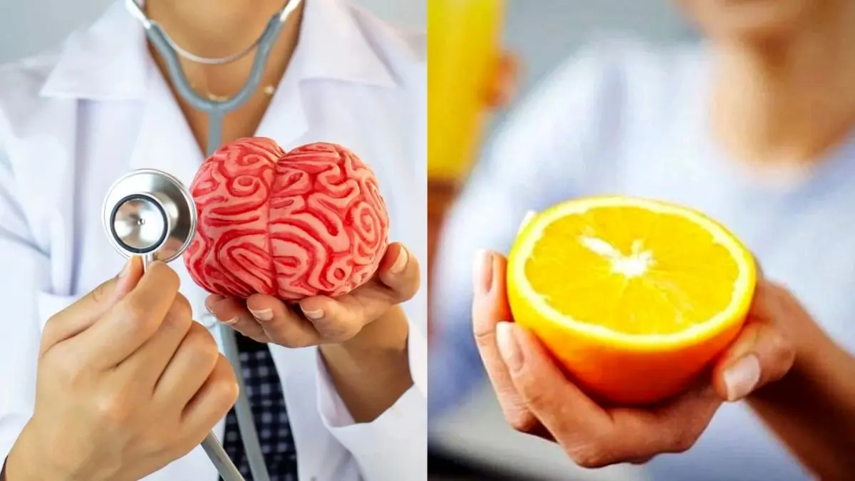 با این ۶ میوه شگفت‌انگیز مغزتان را در اوج هوشیاری نگه دارید!