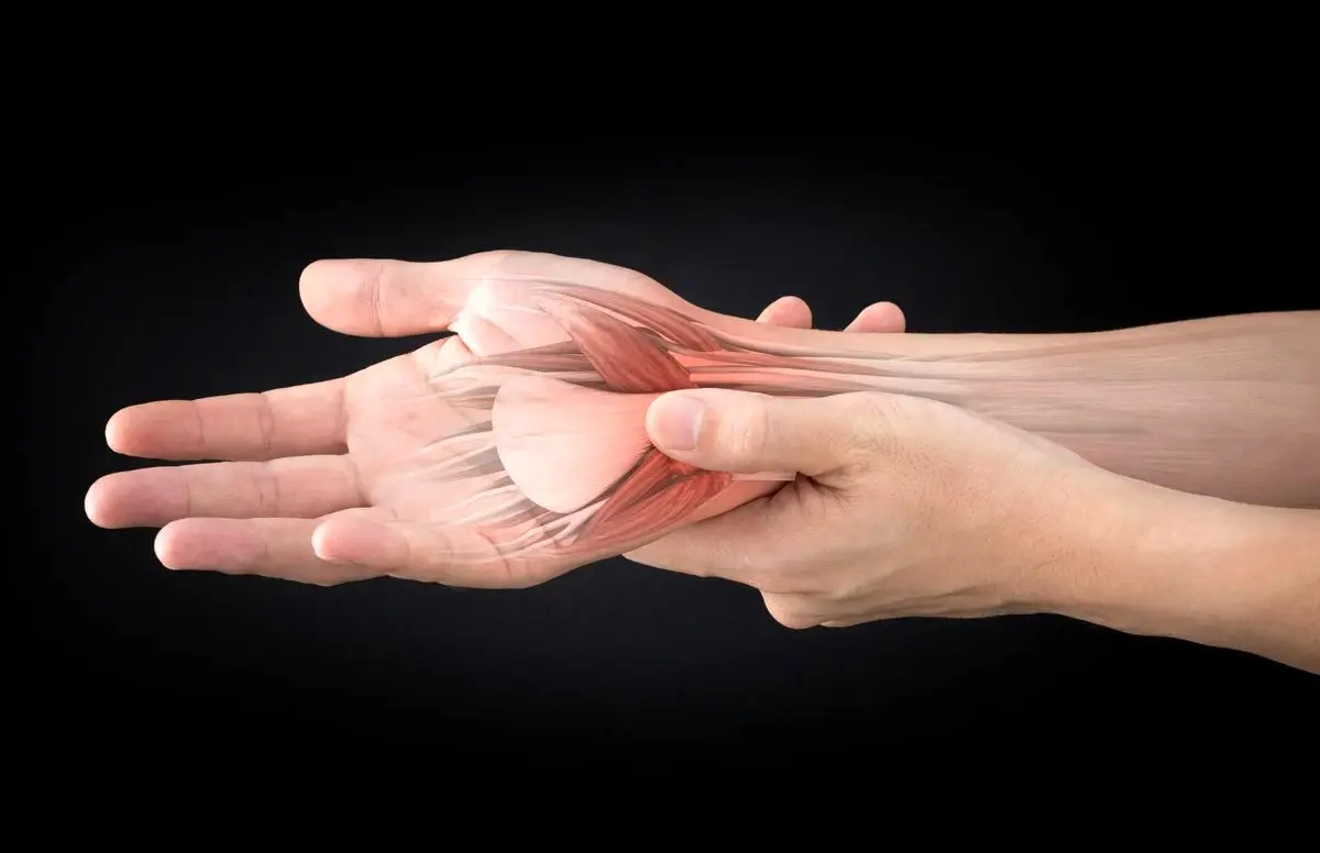 چرا تاندون‌ها آسیب می‌بینند و علائم نادیده گرفته‌شده آن چیست؟