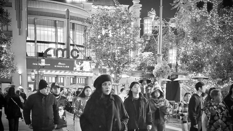 پیام معنادار همسر سابق شهاب حسینی در تولد ۴۵ سالگی و کریسمس لس‌آنجلس!