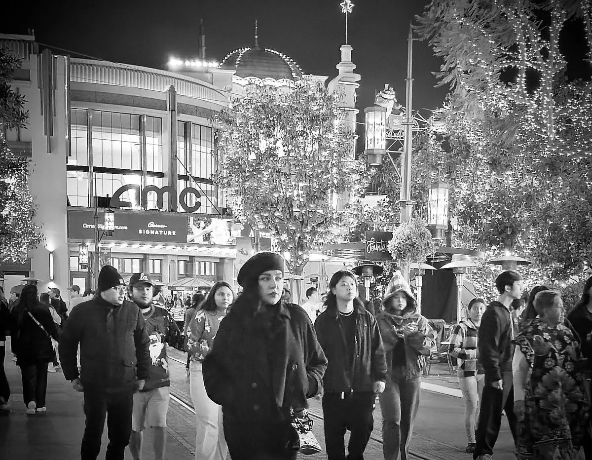 پیام معنادار همسر سابق شهاب حسینی در تولد ۴۵ سالگی و کریسمس لس‌آنجلس!