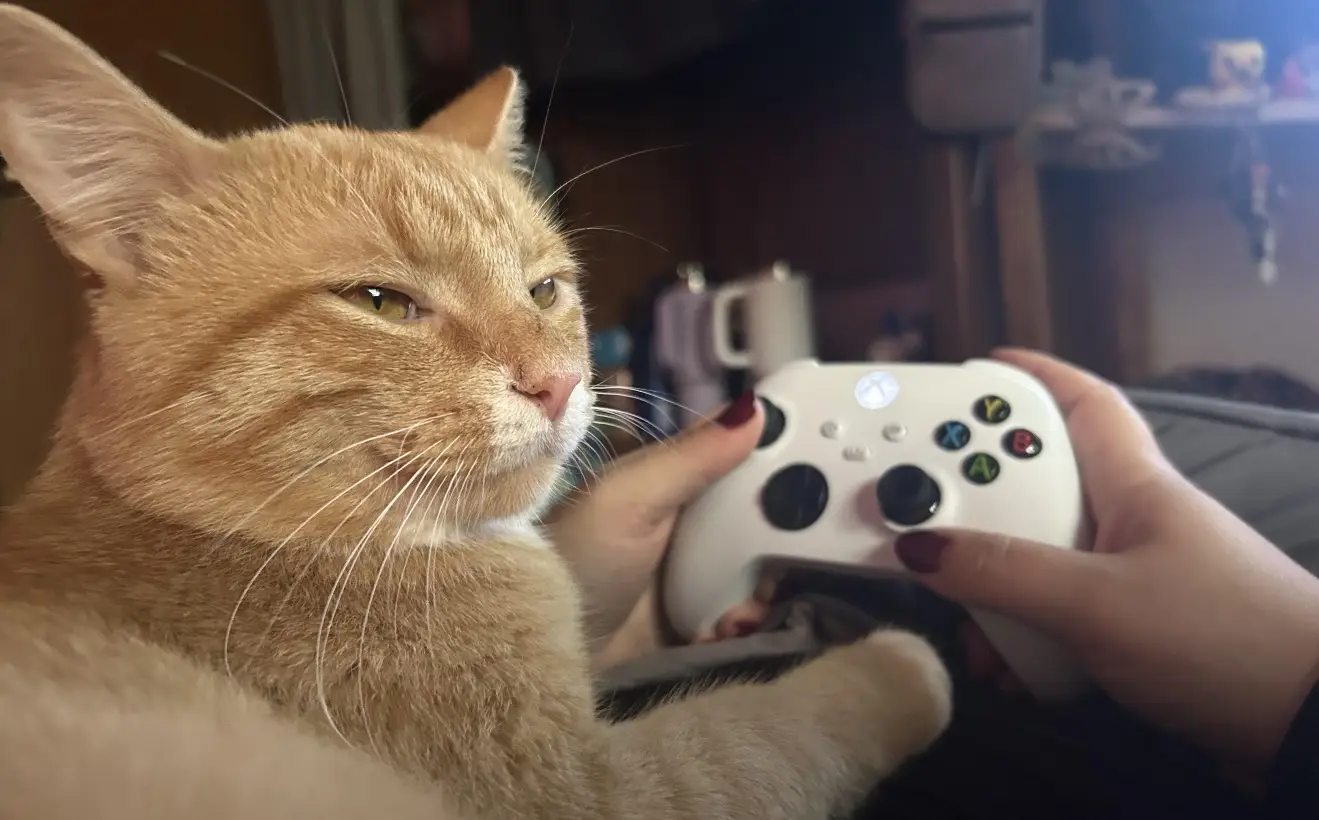 لذت‌های پنهانی که فقط گیمرهای واقعی می‌چشند؛ شما چقدر با آن‌ها آشنا هستید؟