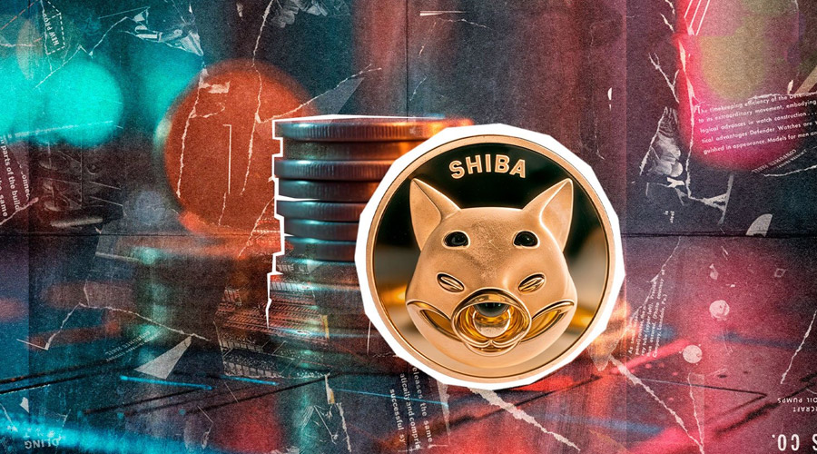 شیبا اینو در خواب زمستانی؛ شاخص‌های آنچین خبر از سکون بی‌سابقه می‌دهند