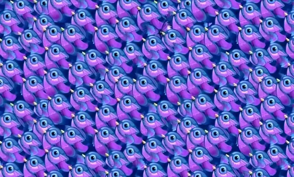 چالش دیدنی؛ می‌توانید پروانه را میان پرندگان پیدا کنید؟ مهارت‌های بینایی‌تان را همین حالا بسنجید!